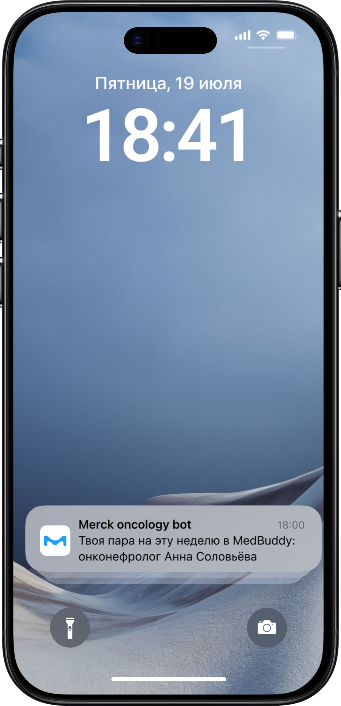 Medical Buddy screen