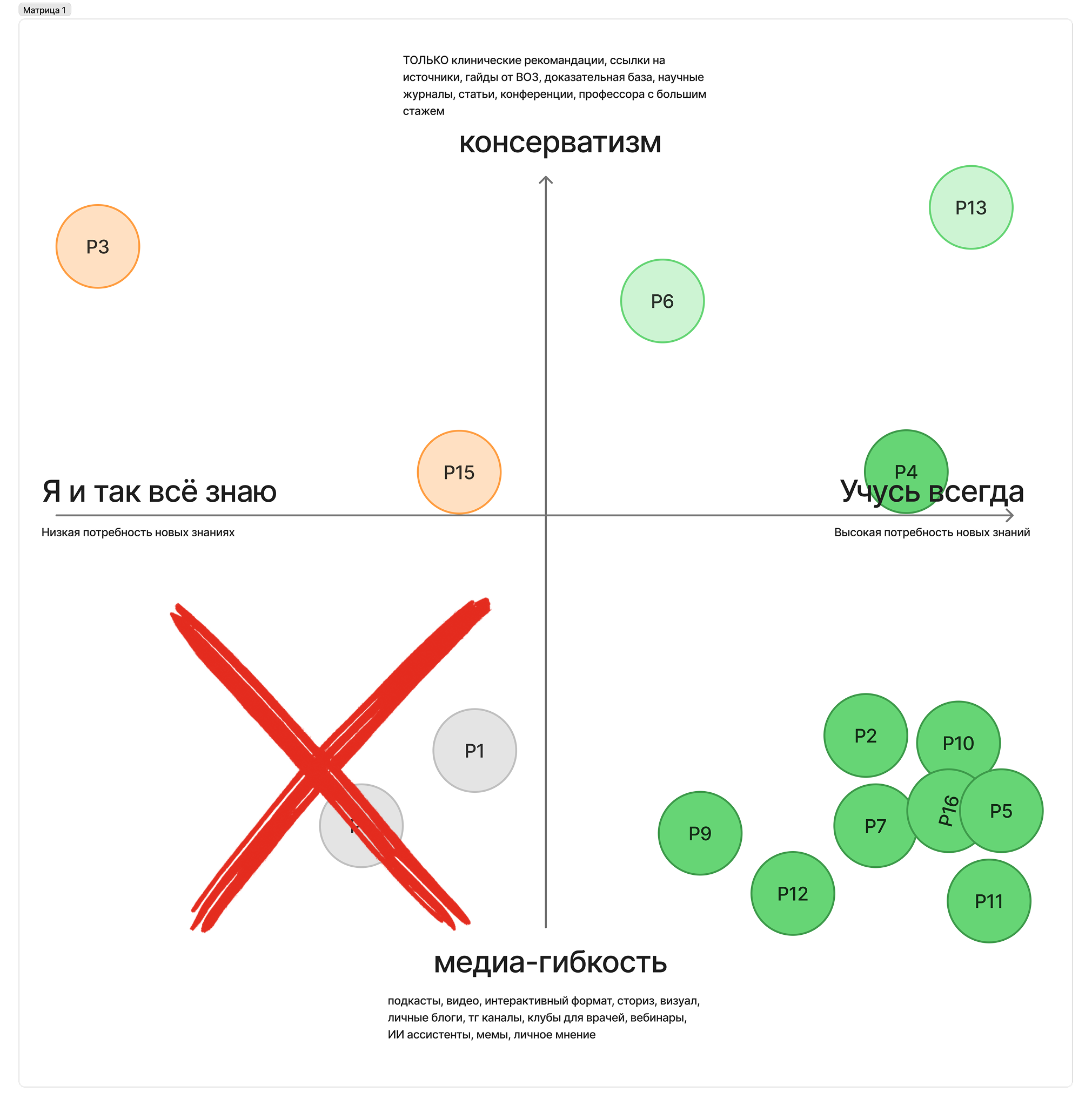 Mindset matrix — excluded segment